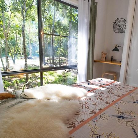 Airlie Beach Eco Cabins - Adults Only Екстериор снимка