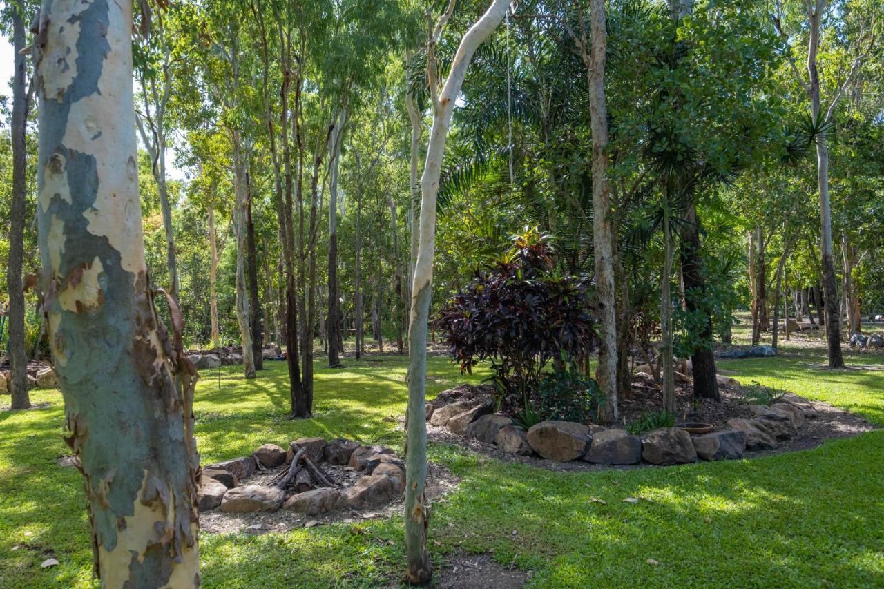Airlie Beach Eco Cabins - Adults Only Екстериор снимка