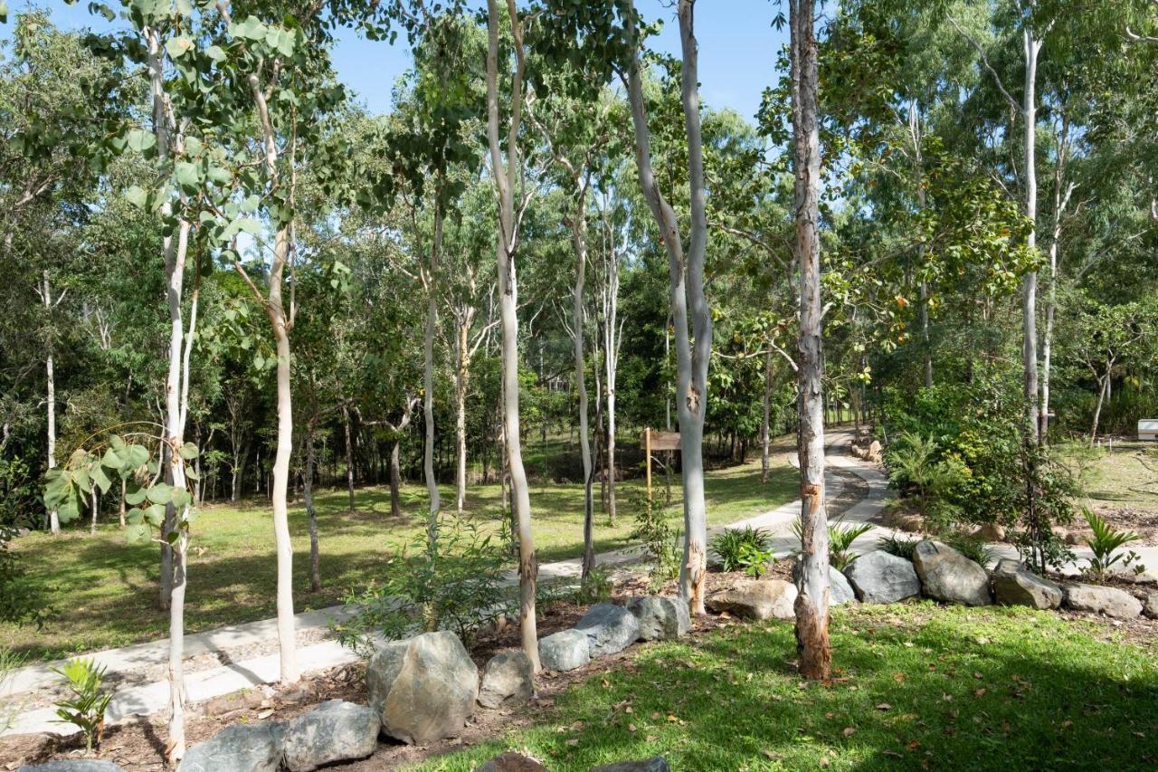 Airlie Beach Eco Cabins - Adults Only Екстериор снимка