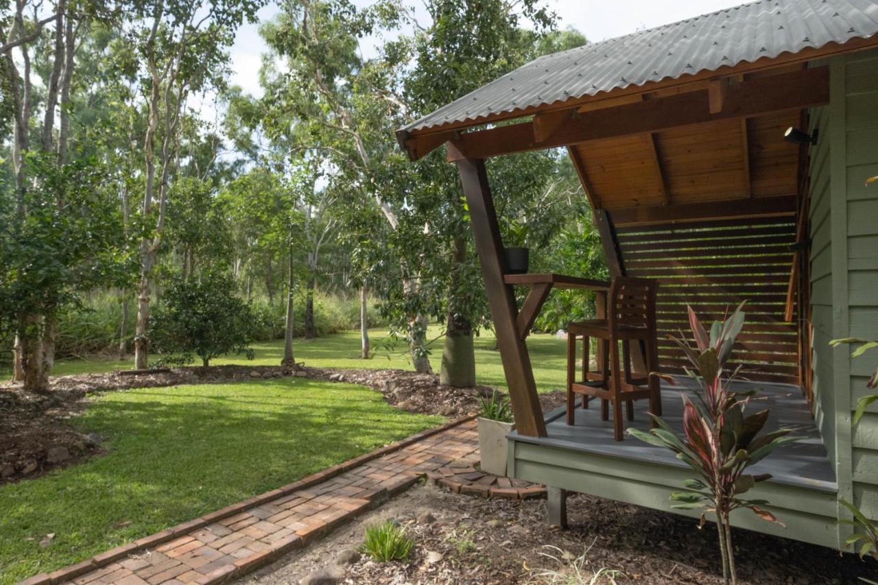 Airlie Beach Eco Cabins - Adults Only Екстериор снимка