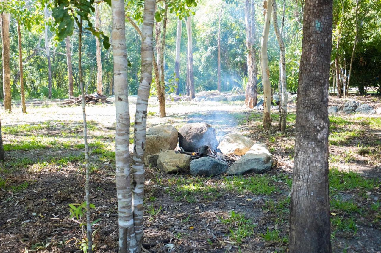 Airlie Beach Eco Cabins - Adults Only Екстериор снимка