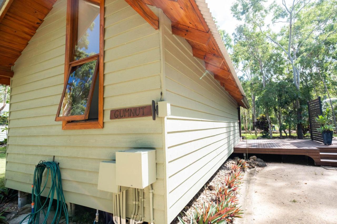 Airlie Beach Eco Cabins - Adults Only Екстериор снимка