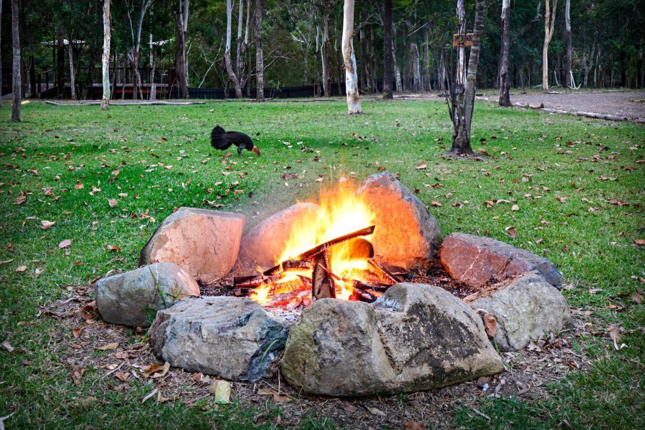 Airlie Beach Eco Cabins - Adults Only Екстериор снимка