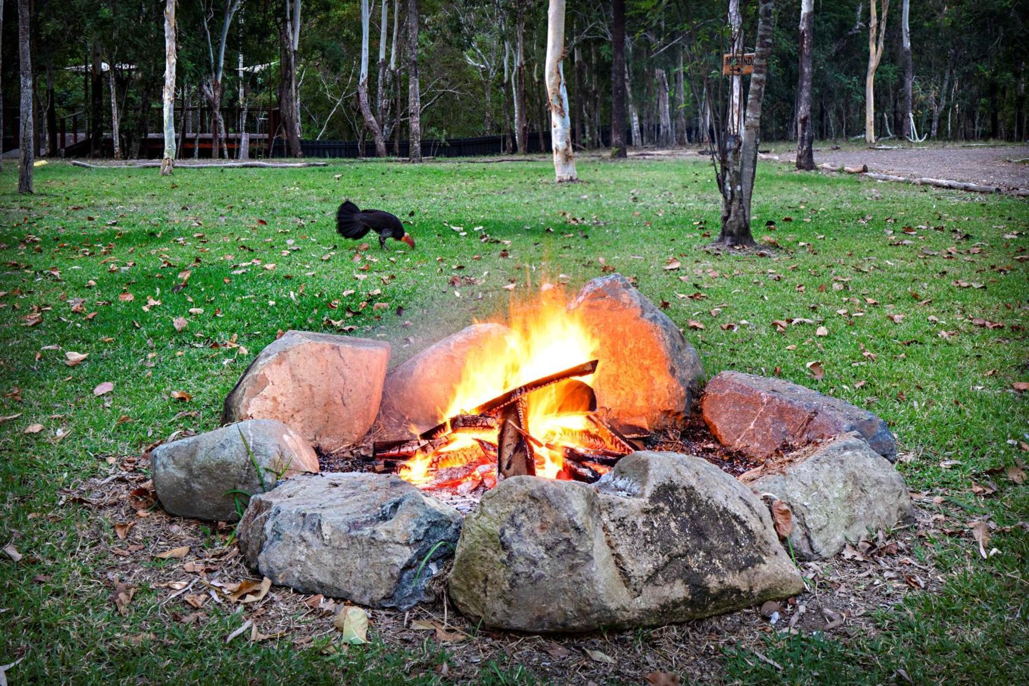 Airlie Beach Eco Cabins - Adults Only Екстериор снимка